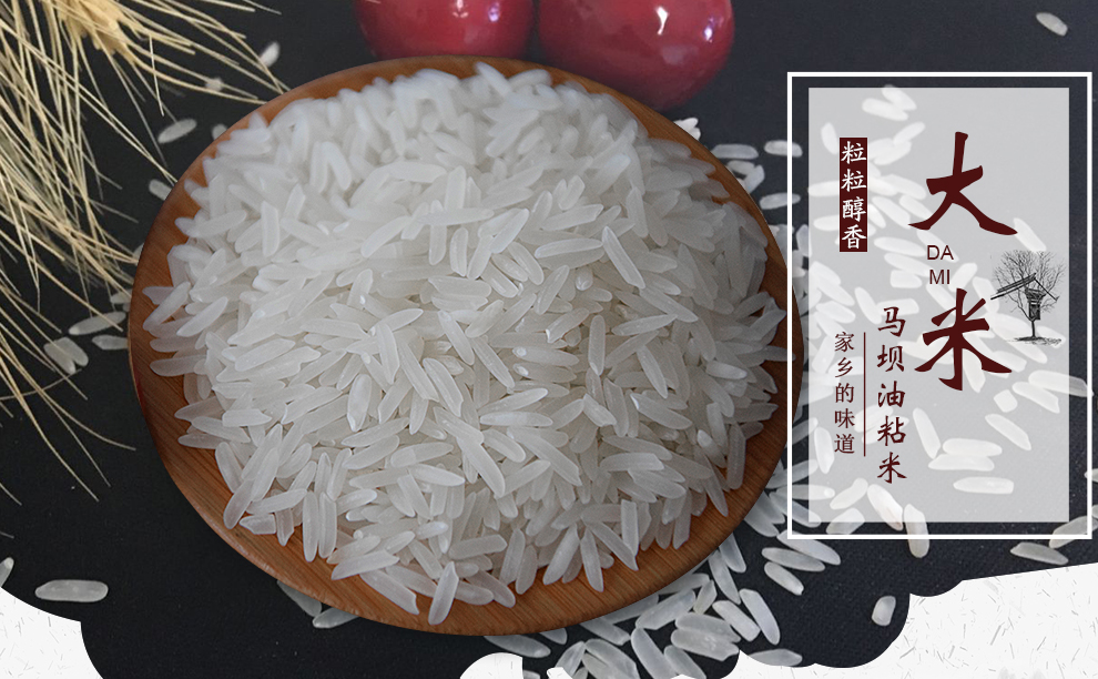 金凤凰 油粘米 广东韶关 马坝油粘米5kg 香油粘米 新米 籼米 大米