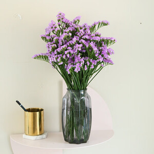 flowerplus花加优选水养鲜切花瓶插花随机色勿忘我1束