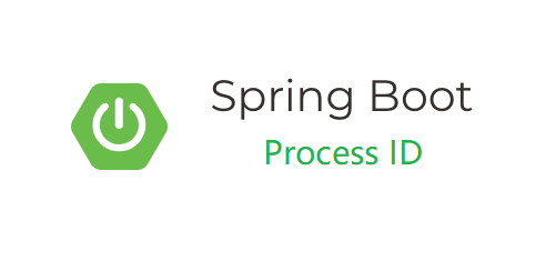 Spring Boot 2 实战：持久化应用进程ID